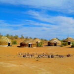 Kyzylkum Desert tour from Bukhara (1 Night 2 Days) - Evening Activities: Aydarkul Lake and Cultural Night