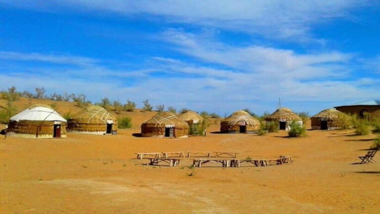 Kyzylkum Desert tour from Bukhara (1 Night 2 Days) - Evening Activities: Aydarkul Lake and Cultural Night