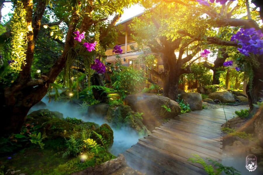 Lalita Cafe & Chiang Rai Temple(White+Blue) from Chiangmai - What to Expect and Practical Tips