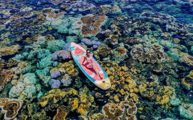 Lan Ha Bay Sunset Cruise Tour With Bioluminescent Kayaking - Authentic Experiences and Notable Insights