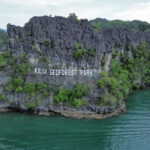 Langkawi: Mangrove River Cruise Sharing 3 Hours - Practical Details and What to Bring