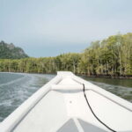 Langkawi: Private 2-Hour Mangrove Tour with Hotel Transfer - A Closer Look at the Tour Itinerary