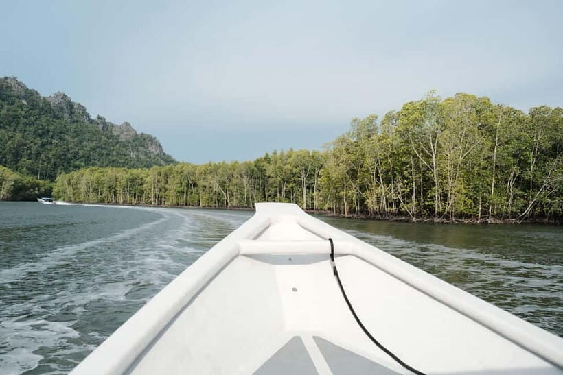 Langkawi: Private 2-Hour Mangrove Tour with Hotel Transfer - A Closer Look at the Tour Itinerary
