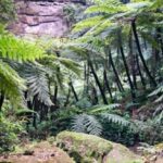 Leshan Giant Buddha Private Tour & Jurassic Expedition - Local Cuisine and Cultural Insights