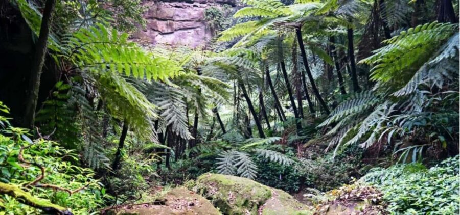 Leshan Giant Buddha Private Tour & Jurassic Expedition - Local Cuisine and Cultural Insights