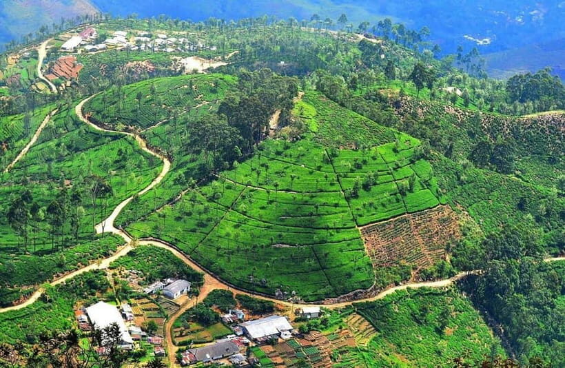 Lipton's Seat, Adisham Bungalow, Dambetenna Tea Factory Tour - Exploring Dambetenna Tea Factory: Industrial Heritage Meets Modern Day