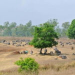 Luang Prabang: 3-Day Phonsavan and Plain of Jars Tour - Discovering the Mystery of the Plain of Jars