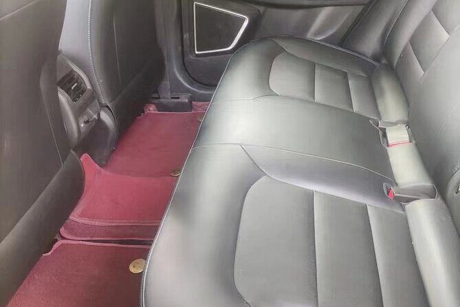 Luoyang private car for Longmen Grottoes and Shaolin temple - Why This Tour Works Well