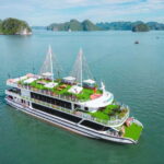Luxurious Halong 1 day trip: pickup Hanoi, dropoff Ninh Binh - What We Love About This Tour