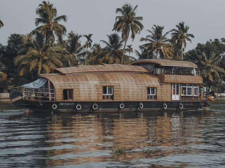 Luxury Backwater Cruise  One-Day Private Tour from Kochi - An In-Depth Look at the Luxury Backwater Cruise