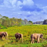 Luxury Nepal Tour: Kathmandu, Chitwan & Pokhara- Private Car - Practical Tips for Travelers