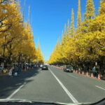 Luxury Tokyo City Attractive Full Day Private Tour - Transportation and Comfort