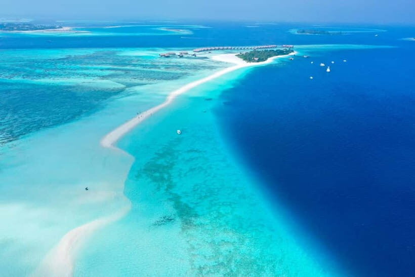 Maafushi: Nurse Sharks, Stingrays, Sand Bank and Dolphins - Practical Tips for the Tour