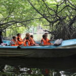 Madu River Boat Tour and Cinnamon Garden visit - Setting Off from Balapitiya: What to Expect