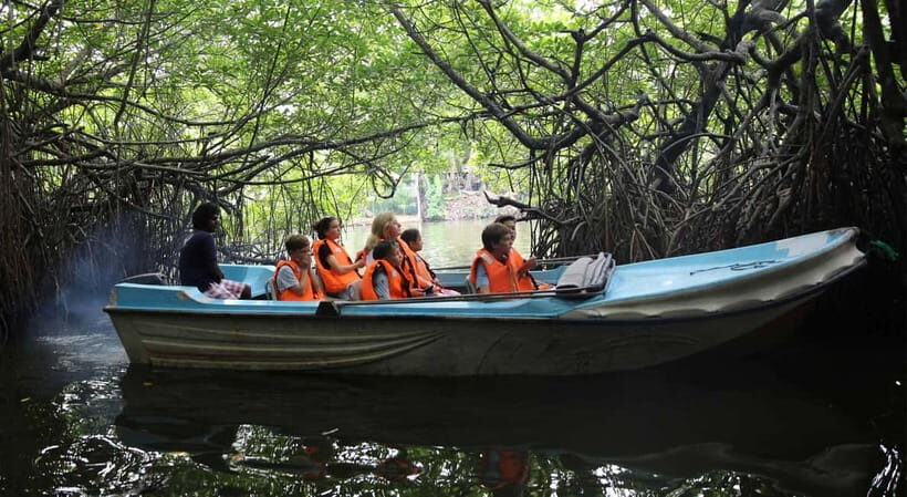 Madu River Boat Tour and Cinnamon Garden visit - Setting Off from Balapitiya: What to Expect