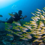 Maldives: Discover Scuba Diving - What to Expect from the Maldives Discover Scuba Diving Experience