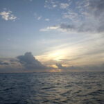 Maldives: Sunset Cruise with Dolphin Watching - The Practical Details