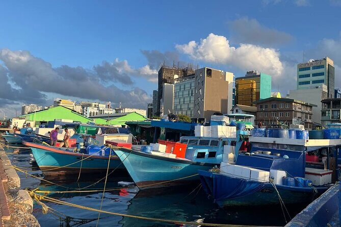 Male' City Walking Tour Explore All the Top Highlights - Who Will Love This Experience?