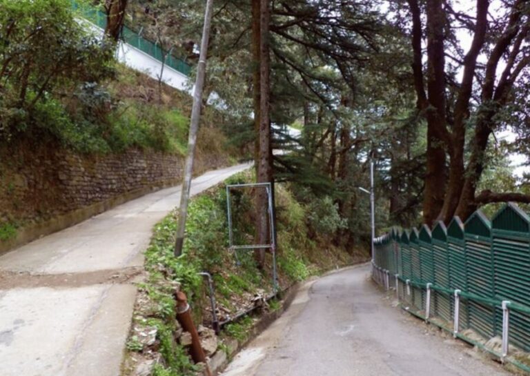 Manali Nature Walk (3 Hours Guided Trekking Experience) - Authentic and Balanced Experience