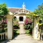 MEKONG DELTA TOUR TO FLOATING MARKET CAI BE from HCM city - Transportation & Group Dynamics