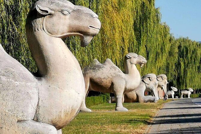 Ming Tombs Entrance Ticket with Optional Guided &Transfer Service - Who Should Consider This Tour?