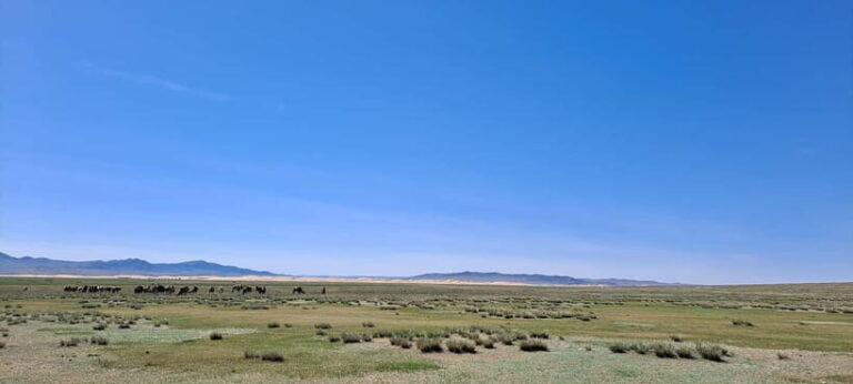 Mini Gobi, Orkhon, Tuvkhun Monastery & Kharkhorin 4-Day Tour - What’s Included and What’s Not: Getting Your Money’s Worth