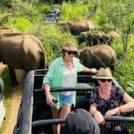 Minneriya National Park 4x4 jeep Safari Include Entrance Fee - What’s Included and What’s Not