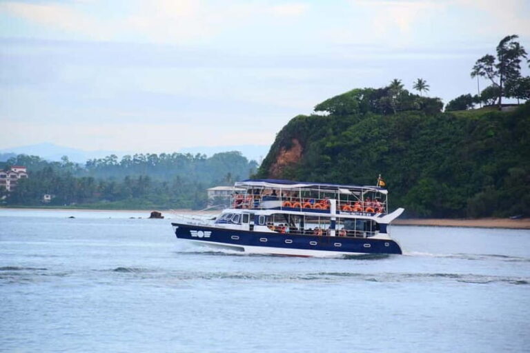 Mirissa: Whale Watching Tour - Detailed Review of the Mirissa Whale Watching Tour