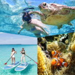 Miyakojima: SUP and Snorkeling- Two Activities in One Day - What to Expect at Each Stage