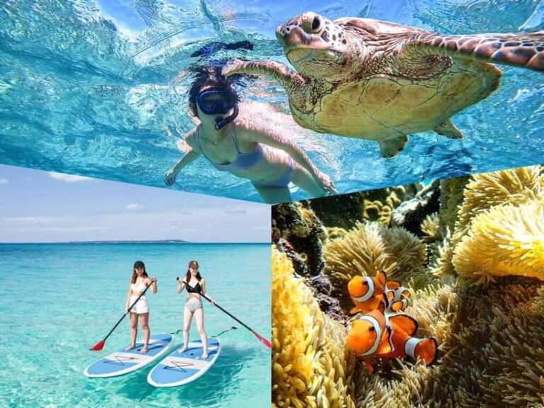 Miyakojima: SUP and Snorkeling- Two Activities in One Day - What to Expect at Each Stage