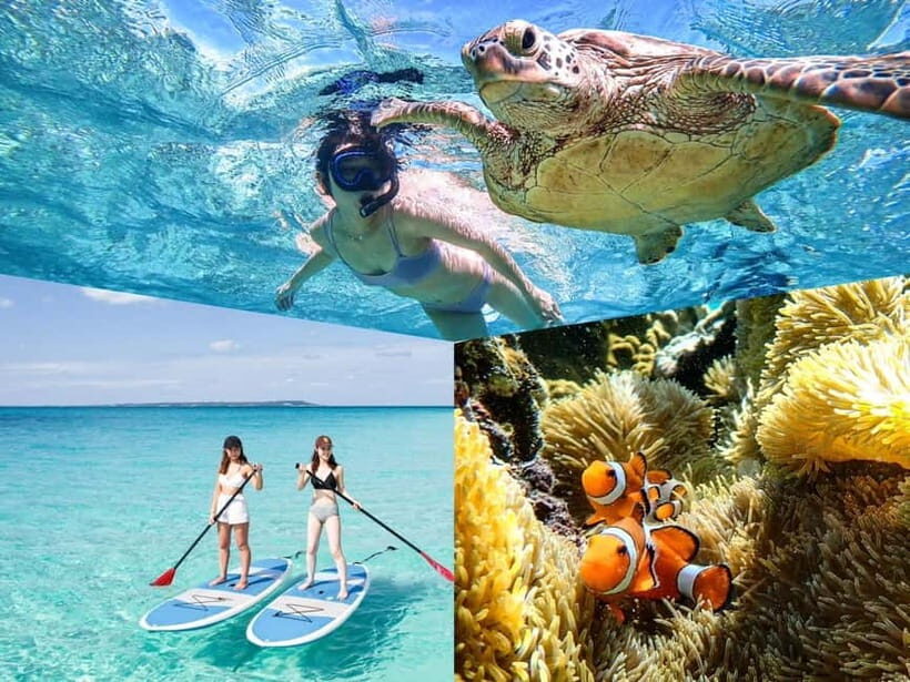 Miyakojima: SUP and Snorkeling- Two Activities in One Day - What to Expect at Each Stage