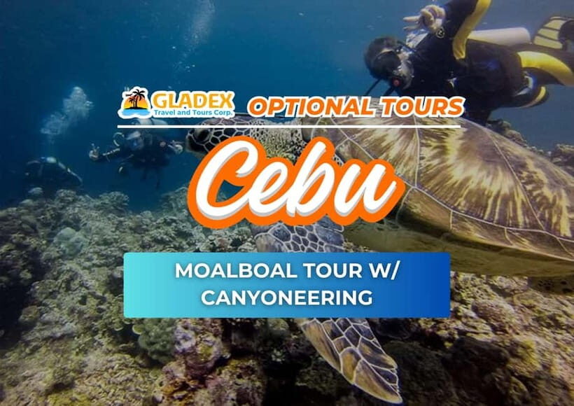 Moalboal Tour with Canyoneering - The Sum Up: Who Should Consider This Tour?