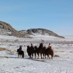 Mongolia: Winter Adventure Tour/Central Mongolia - Pricing and Value