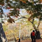 Morioka City Cycle with local guide: Temples, Treats & Townscapes - Morioka Castle Ruins Park: A Step Back in Time