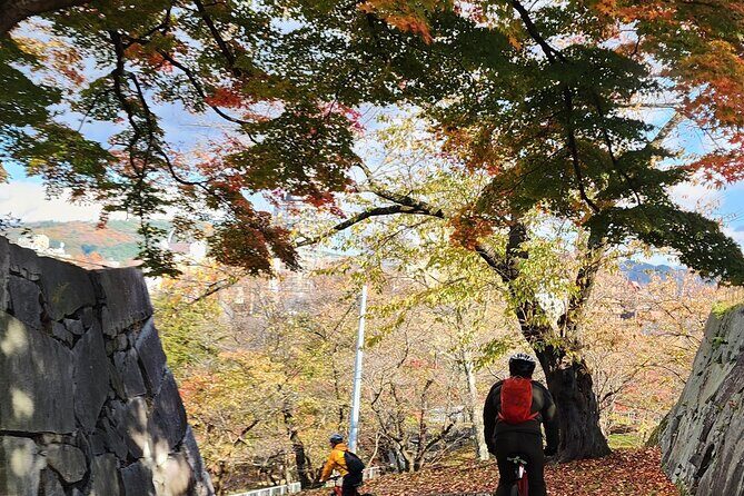 Morioka City Cycle with local guide: Temples, Treats & Townscapes - Morioka Castle Ruins Park: A Step Back in Time