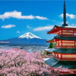 Mount Fuji and Hakone Private Tour with Pickup from Tokyo - Who Would Love This Tour?