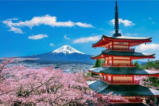Mount Fuji and Hakone Private Tour with Pickup from Tokyo - Who Would Love This Tour?