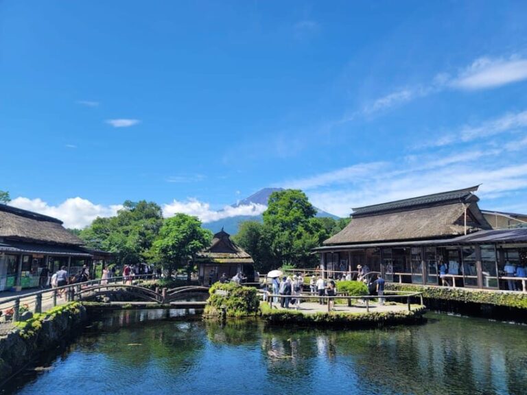 Mount Fuji Day Tour with English Speaking Driver - An In-Depth Look at the Mount Fuji Day Tour