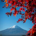 Mount Fuji Private Full Day Tour from Tokyo by Car or Van - Who Will Love This Tour?