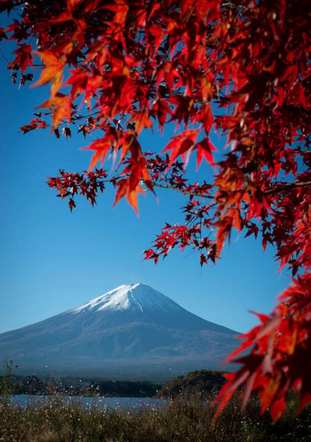 Mount Fuji Private Full Day Tour from Tokyo by Car or Van - Who Will Love This Tour?