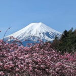 Mt. Fuji: 1-Day Private Tour from Tokyo with Certified Guide - FAQ