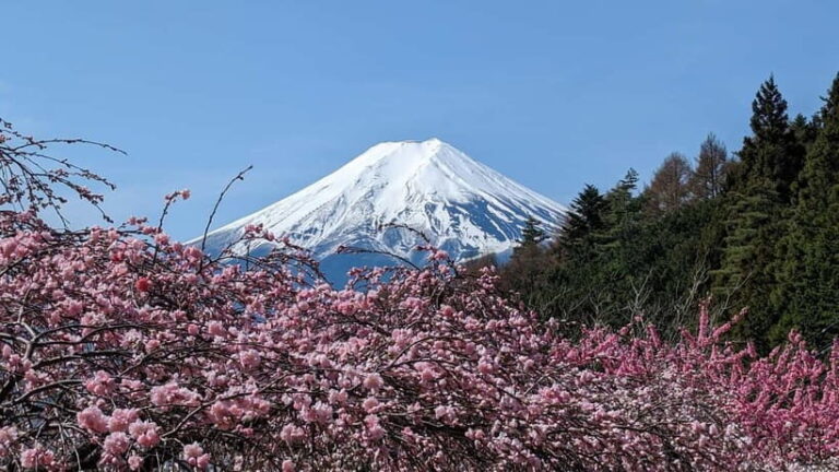 Mt. Fuji: 1-Day Private Tour from Tokyo with Certified Guide - FAQ