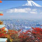 Mt.FUji and Cherry Blossom Full Day Trip with English Driver - Who This Tour Is For