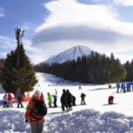 Mt. Fuji Skiing Experience- YETI Ski Resort & Onsen Day Trip - Who Will Love This Tour