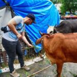 Mumbai: Guided City Sightseeing Tour - What to Expect at Each Stop