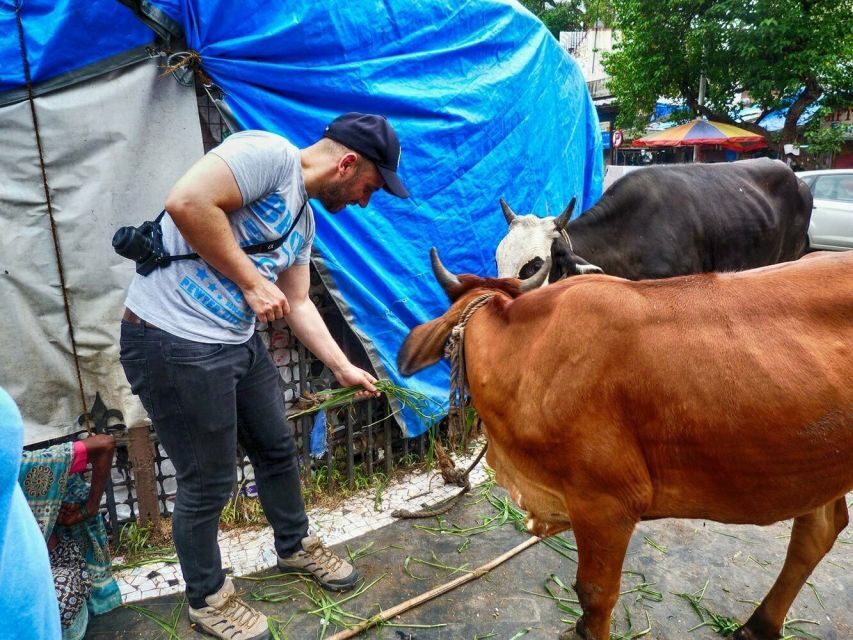 Mumbai: Guided City Sightseeing Tour - What to Expect at Each Stop