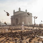 Mumbai Same Day Private City Tour by Car with Local Guide - A Detailed Look at the Mumbai Private City Tour