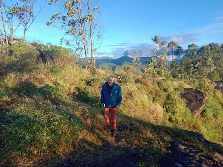 Munnar: Half day Guided Trek - What To Expect on Your Munnar Trek