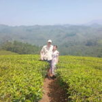 Munnar: Tea trail, Tea Factory, and Tea Tasting Tour - Exploring the Tea Plantations