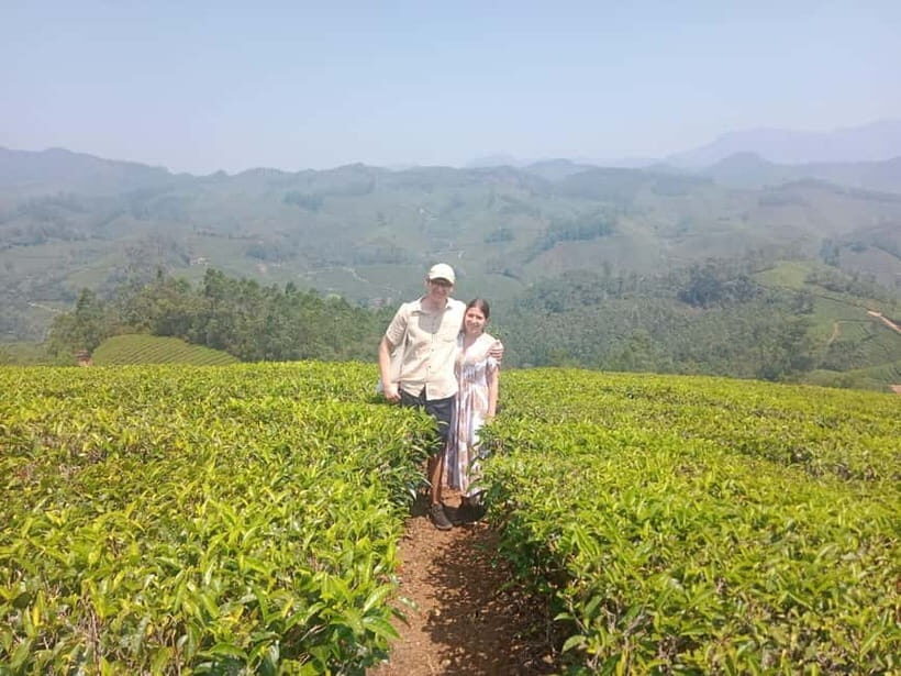 Munnar: Tea trail, Tea Factory, and Tea Tasting Tour - Exploring the Tea Plantations